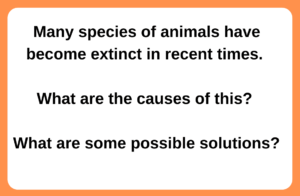 Task 2 Causes of animals becoming extinct