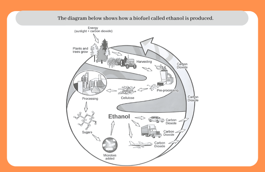 How Ethanol is Produced
